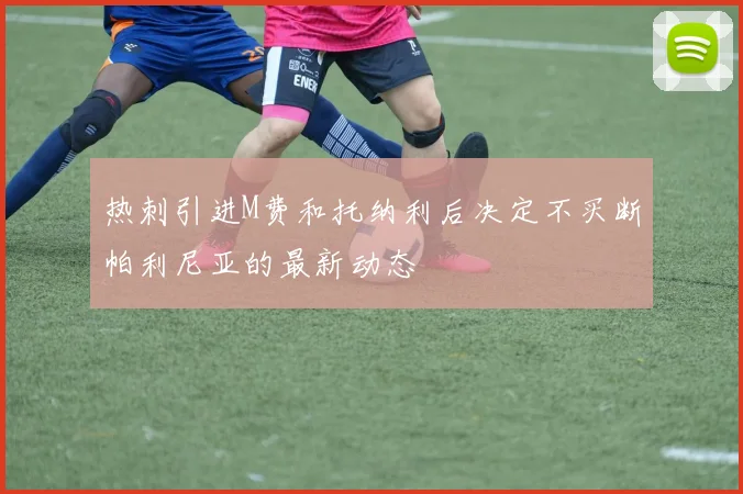 热刺引进M费和托纳利后决定不买断帕利尼亚的最新动态