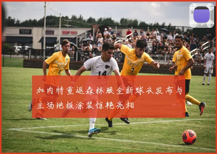 加内特重返森林狼全新球衣发布与主场地板涂装惊艳亮相