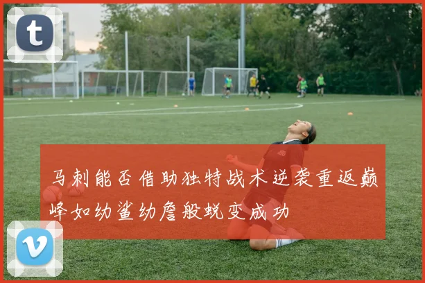 马刺能否借助独特战术逆袭重返巅峰如幼鲨幼詹般蜕变成功